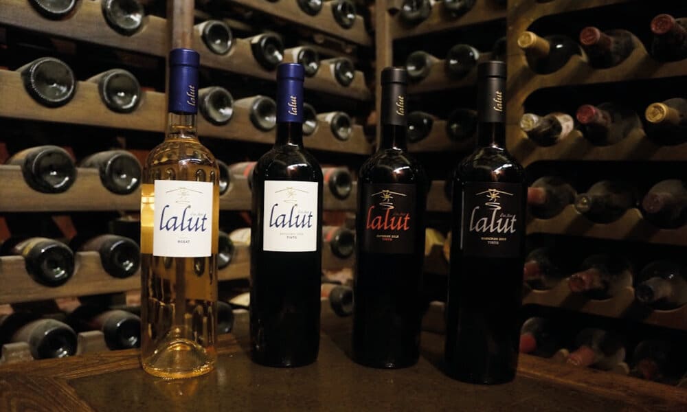 Some of the varieties of wine produced at El Celler d’en Marc